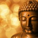 New Year's dictation of Gautama Buddha 2017